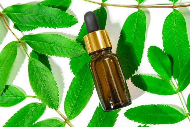 Benefits & Uses Of Neem Oil For Skin