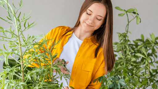 Benefits Of Rosemary Water For Hair