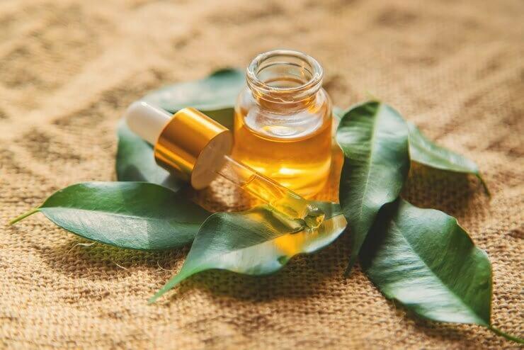 Tea Tree Oil  How to Include in Skincare Routine