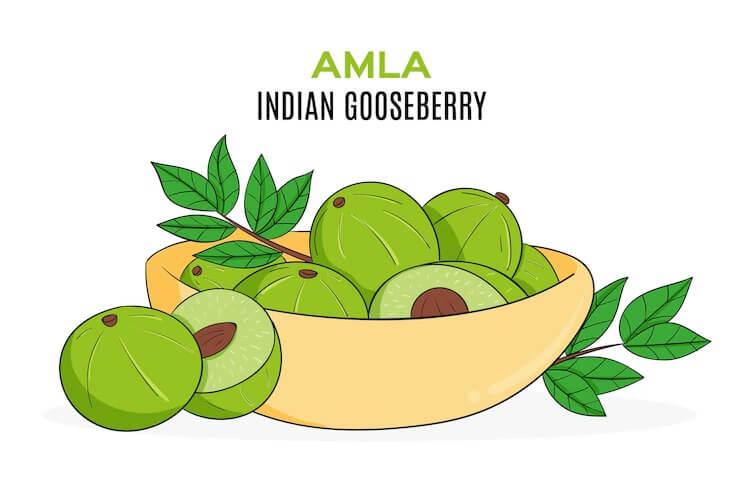 Amla (Indian Gooseberry) Benefits For Hair