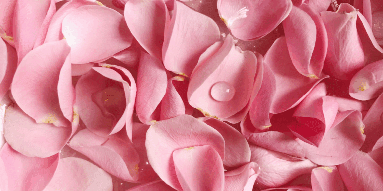 benefits of rosewater for face